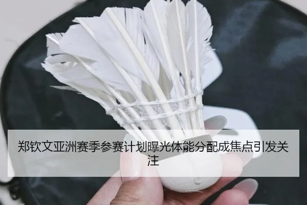 郑钦文亚洲赛季参赛计划曝光体能分配成焦点引发关注